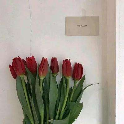 波胆app官网下载手机版